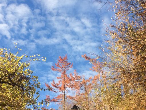 Rimonta anticlonica: in Granda in arrivo giorni di stabilità e cieli azzurri