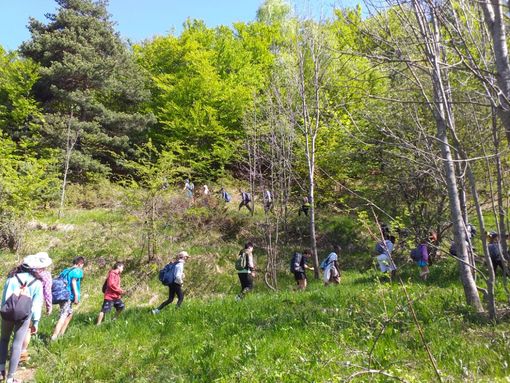 Scarponi ai piedi verso il traguardo: alunni della Primaria di San Rocco Castagnaretta in gita per boschi e sentieri