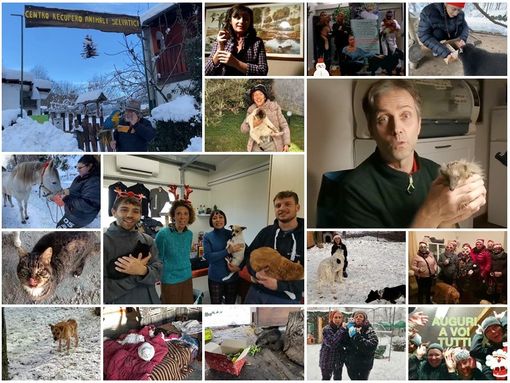 &quot;Bau, miao, cip cip&quot;: quest'anno gli auguri di Natale ve li facciamo così [VIDEO]