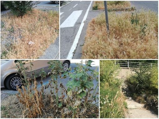 Alcune foto giunte alla redazione nelle scorse settimane Alcune foto giunte alla redazione nelle scorse settimane