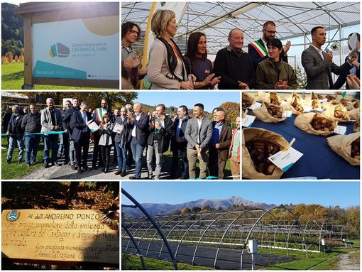 Inaugurato a Chiusa di Pesio il Centro Regionale di Castanicoltura del Piemonte: 150 varietà diverse di castagno lo rendono unico al mondo