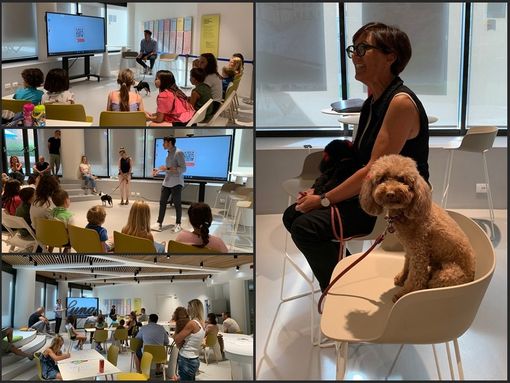 “Amici Bau Bau!”: domenica torna il laboratorio di socializzazione con cani al Rondò dei Talenti