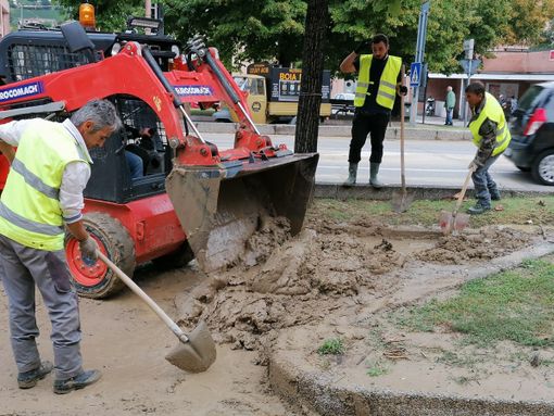 Alba, privati colpiti dal nubifragio del 5 settembre segnalino i danni in municipio Alba, privati colpiti dal nubifragio del 5 settembre segnalino i danni in municipio