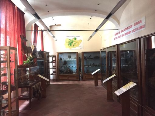 Vezza d'Alba, veste rinnovata per il Museo Naturalistico del Roero