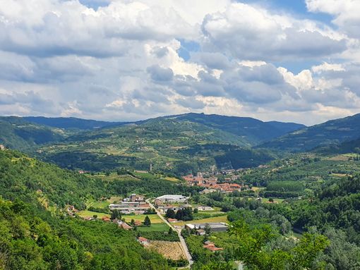 Perseguita i vicini di casa per 4 anni con molestie e insulti: viene condannata per stalking ma resta a vivere di fianco a loro Perseguita i vicini di casa per 4 anni con molestie e insulti: viene condannata per stalking ma resta a vivere di fianco a loro