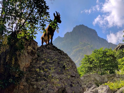 "Entracque Valle Gesso": due giovani lanciano un progetto per la tutela dell’ambiente e lo sviluppo del turismo in valle