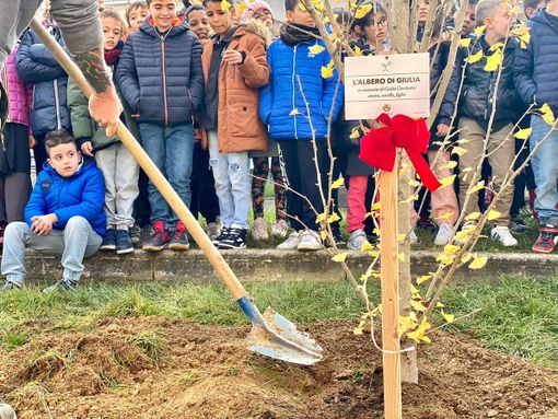 Saluzzo da oggi ha "l'albero di Giulia, amica, sorella, figlia"