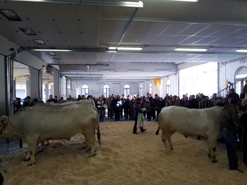 Immagine di repertorio Immagine di repertorio