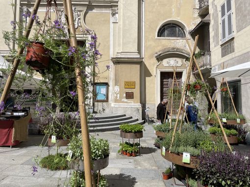 Mondovì si colora per la 64^ edizione della Fiera di Primavera: ecco il programma completo Mondovì si colora per la 64^ edizione della Fiera di Primavera: ecco il programma completo