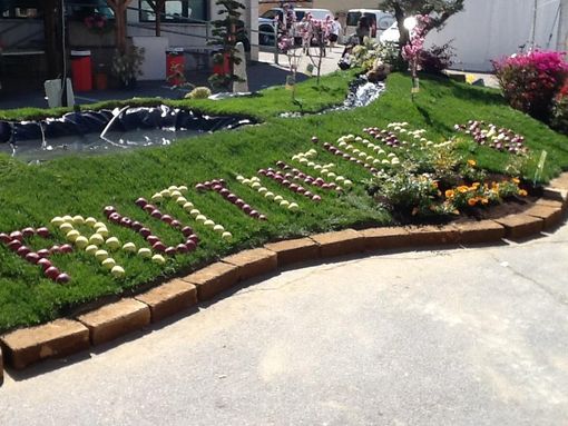 L'immagine di Fruttinfiore 2013 scattata sabato  in mattinata