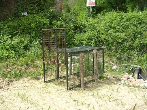 Gabbia per cinghiali Gabbia per cinghiali