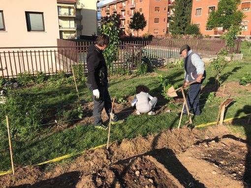 Semi di Quartiere per riqualificare le aree verdi del Donatello di Cuneo