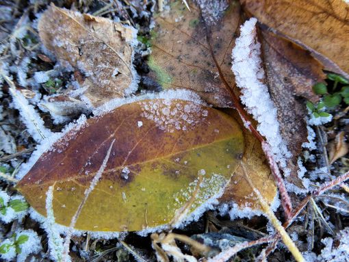 Settimana da temperature "sotto zero" in Granda: neve dai 1.500 metri