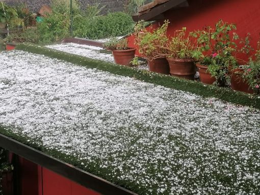 Immagine di repertorio Immagine di repertorio