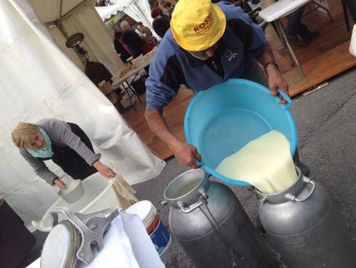 Autunno con Gusto: a Villanova Mondovì tutto è pronto per BEE. Pensieri, parole e formaggi