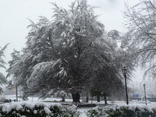 La neve è arrivata, ancora utile i Tavolo di crisi? La neve è arrivata, ancora utile i Tavolo di crisi?