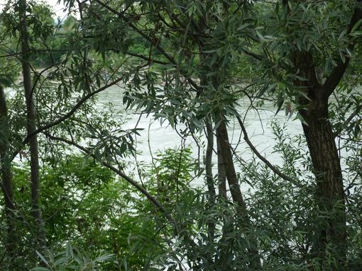 Maltempo: ad Alba si attende la piena del Tanaro per domani in tarda mattinata