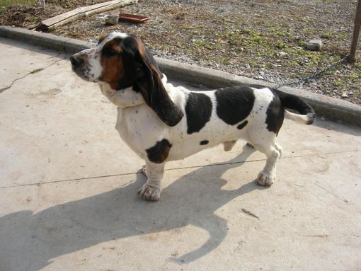 Immagine di repertorio Immagine di repertorio