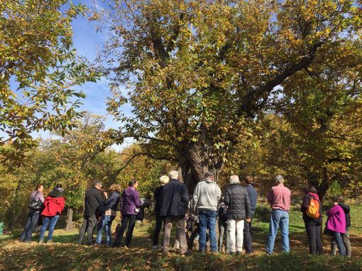 La Condotta Slow Food del Monregalese nel nome di Davide Ghirardi