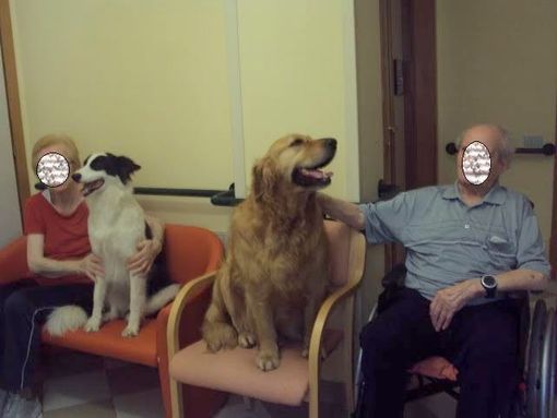 la relazione uomo e cane è terapeutica al benessere  degli anziani