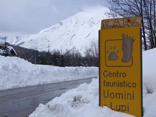 Domani apertura straordinaria del Centro Uomini e Lupi di Entracque