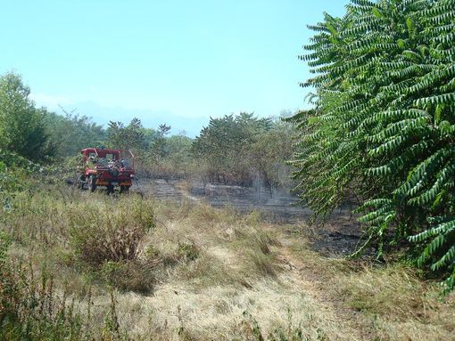 Immagine di repertorio