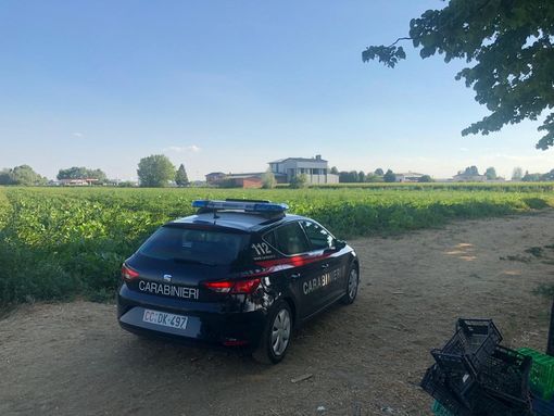 Immagine di repertorio