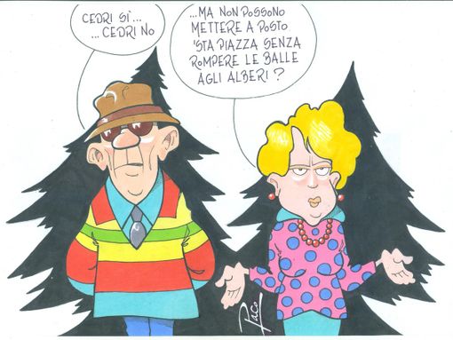 LA CITTA' DEI CEDRI