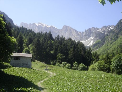 Immagine di repertorio