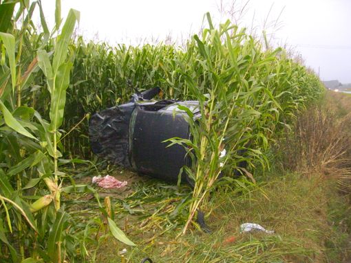 Due immagini dell'incidente (copiryght targatocn)