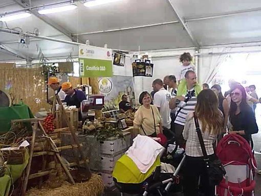 Cheese 2013: un successo sotto tutti i punti di vista