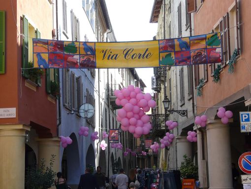 Dogliani, immagine di repertorio