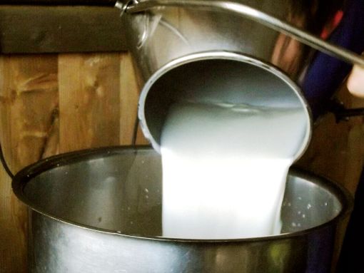 Multe quote latte 2014/2015: “Rateizzazione troppo onerosa per le aziende”