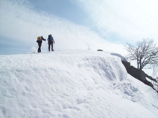Gli appuntamenti con gli Accompagnatori Naturalistici delle Alpi Occidentali Gli appuntamenti con gli Accompagnatori Naturalistici delle Alpi Occidentali
