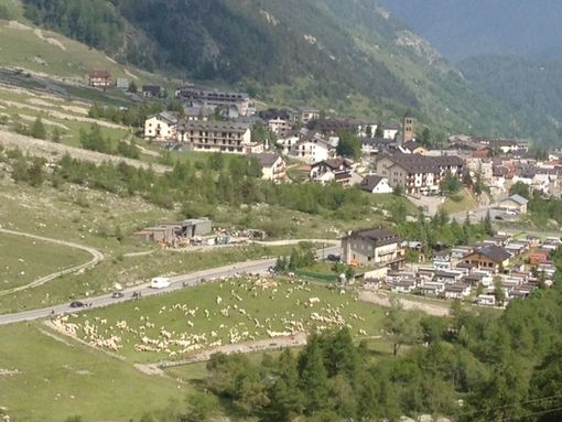 A Bersezio un incontro informativo sulle associazioni fondiarie