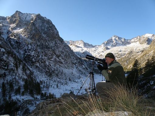 Immagine di repertorio