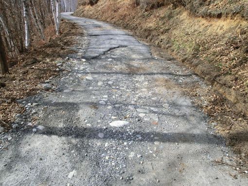 Lettera: "Desidero tornare qualche volta nelle mie terre natìe senza fare gimcane tra le buche"