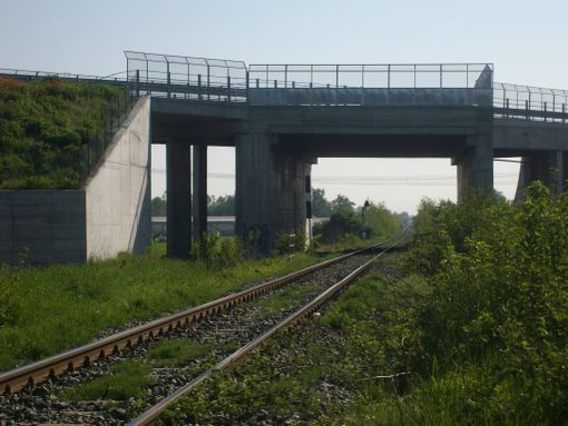 (copyright targatocn.it)