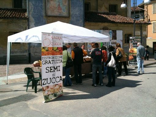 Le zucche tornano di scena a Piozzo, domenica 28 aprile distribuzione dei semi