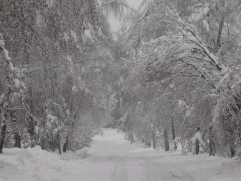 Torna la neve, si attendono disagi, attenzione alla pioggia gelata