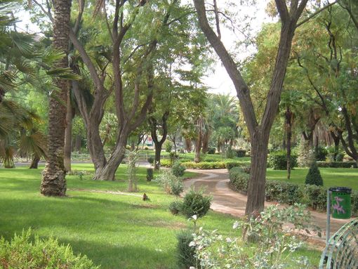 Immagine di repertorio