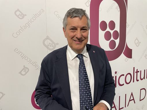 Icardi all'evento Vinitaly di Confagricoltura: “Dobbiamo tutelare la bovina piemontese, i nostri vini e formaggi” [VIDEO]