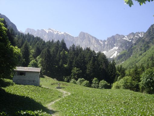 Immagine di repertorio