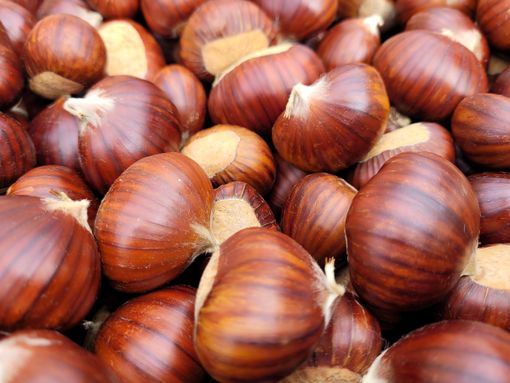 Programma modificato della 26esima Festa del Re Marrone a Chiusa Pesio Programma modificato della 26esima Festa del Re Marrone a Chiusa Pesio