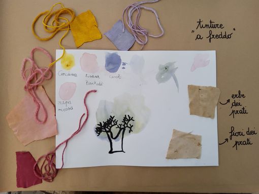 myResMus: i musei entrano a scuola grazie alla piattaforma di didattica creata a Cuneo myResMus: i musei entrano a scuola grazie alla piattaforma di didattica creata a Cuneo