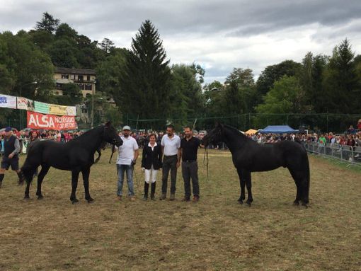 Uno scatto dall'edizione 2016 della manifestazione Uno scatto dall'edizione 2016 della manifestazione
