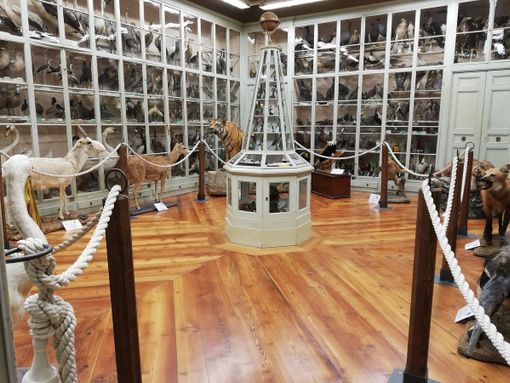 Bra, tutto pronto per la geo-conferenza di stasera al Museo “Craveri” per la 10ª Settimana del Pianeta Terra