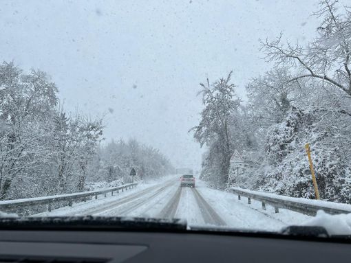 METEO / Il freddo torna protagonista: nel fine settimana neve in arrivo anche in pianura