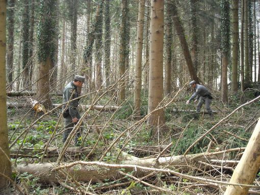 Immagine di repertorio