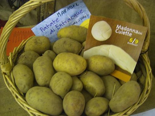 Entracque saluta l'estate con la tradizionale Fiera gastronomica della patata